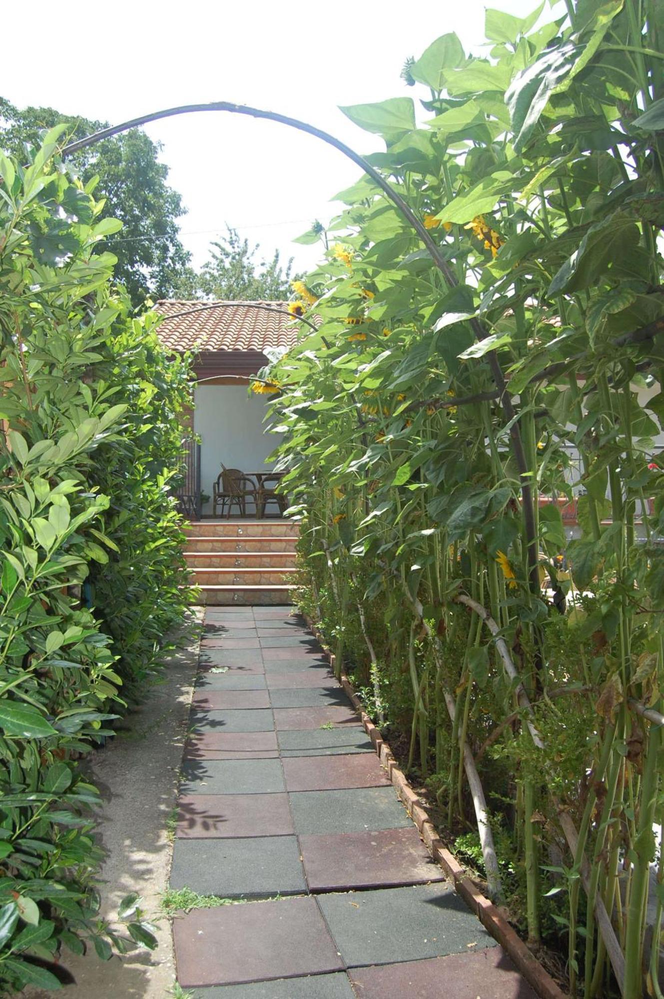 Maison d'hôtes Rabbit à Agerola Extérieur photo