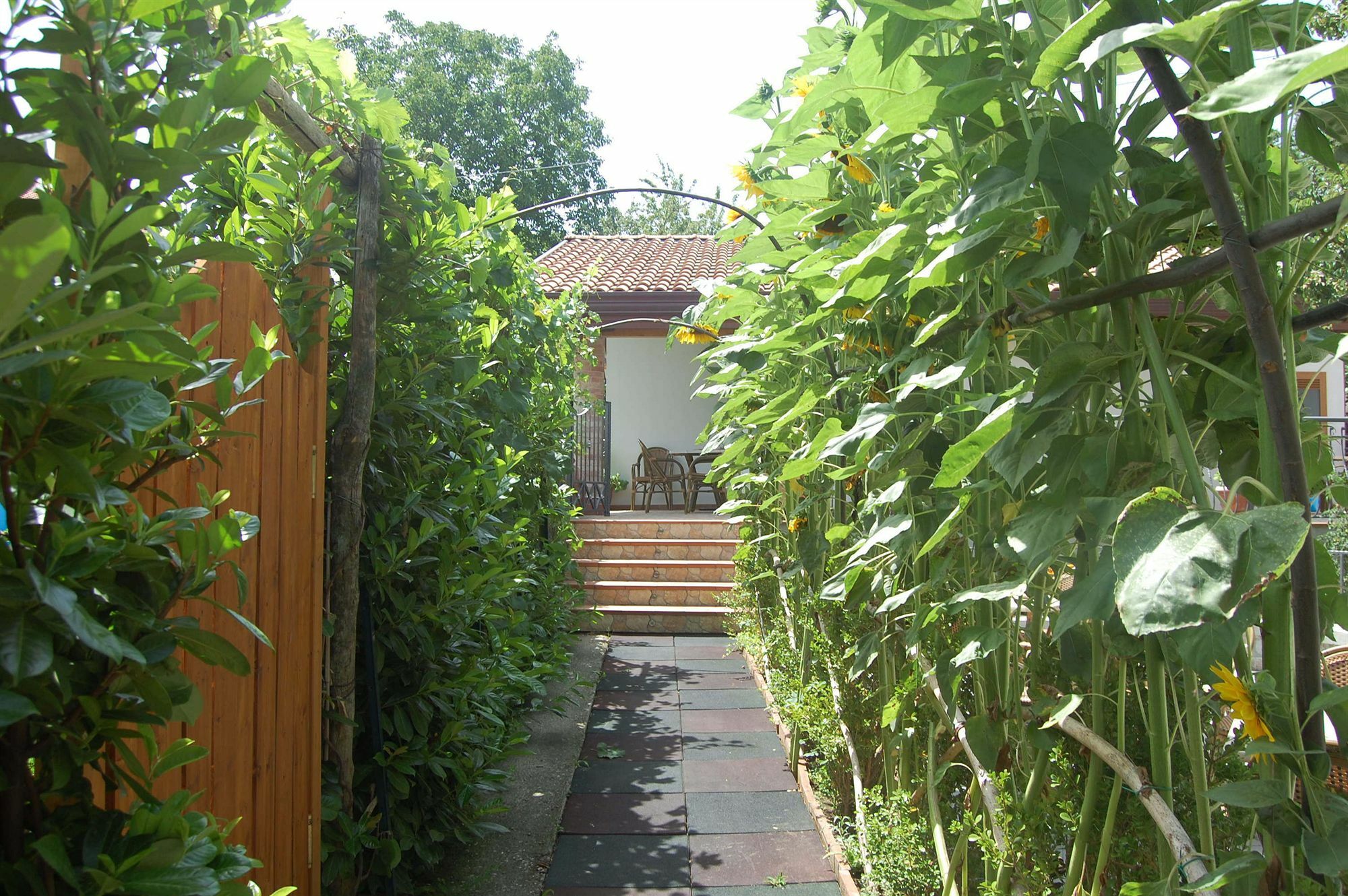 Maison d'hôtes Rabbit à Agerola Extérieur photo