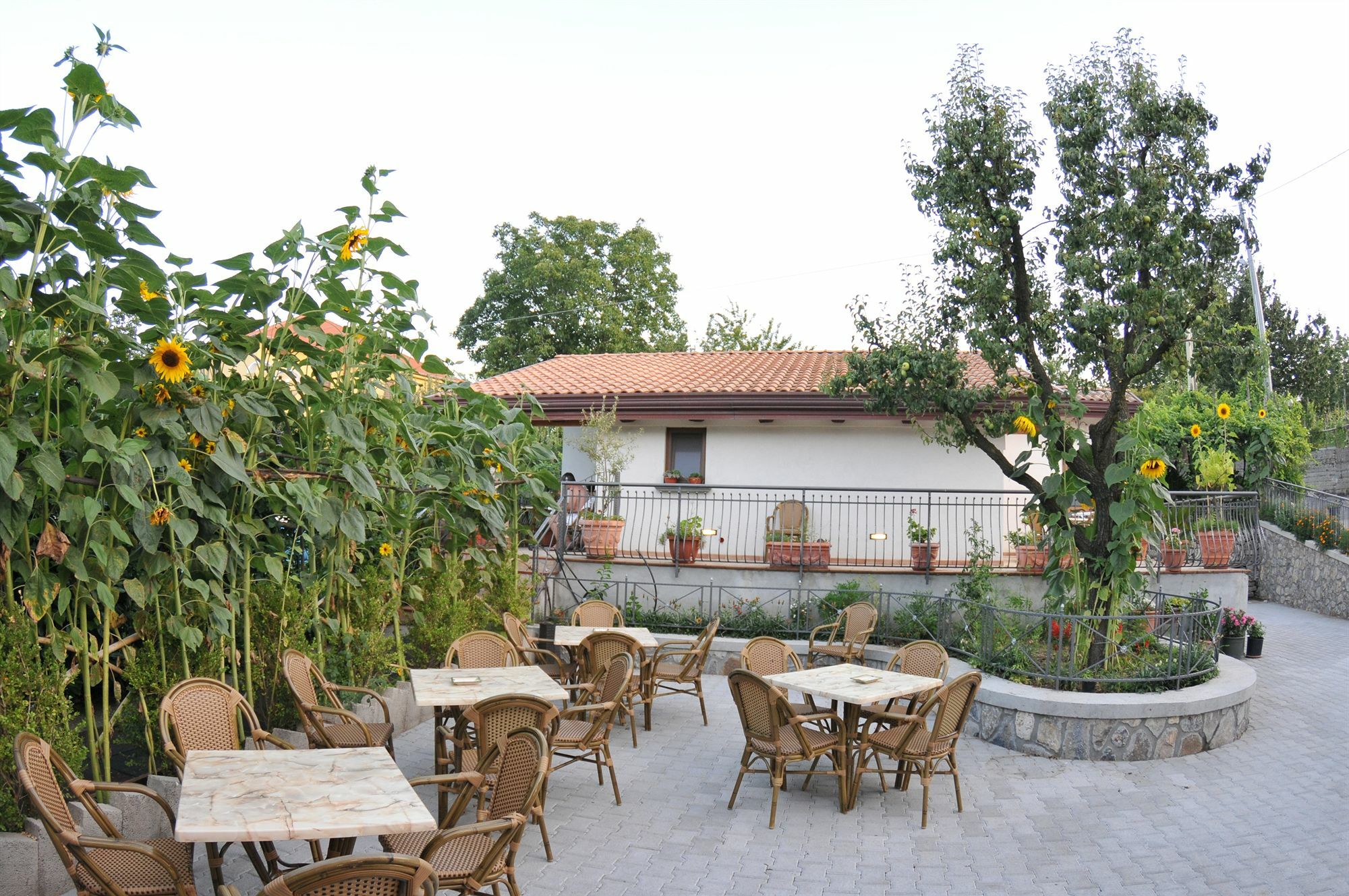 Maison d'hôtes Rabbit à Agerola Extérieur photo